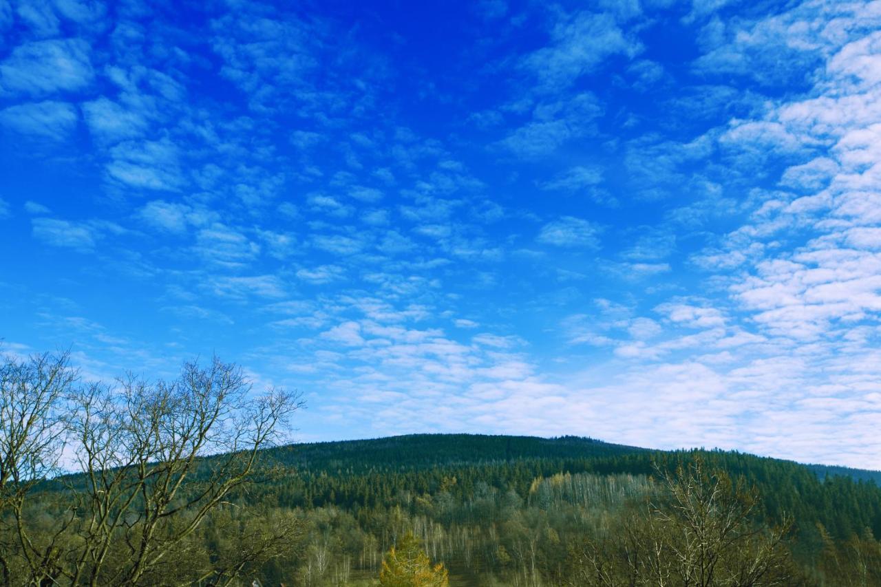 Willa Ostoja Wellness Świeradów-Zdrój Exteriér fotografie